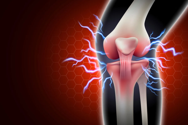 hydration for joints and muscles