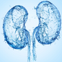 kidneys and hydration