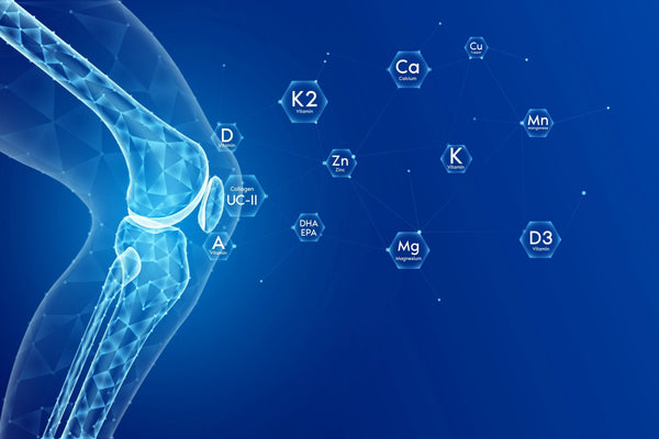 The Link Between Hydration and Immune Function: Boost Your Health with Proper Hydration