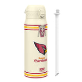 NFL Throwback Series x ION8 Insulated Steel Water Bottle, Leak Proof, Dishwasher Safe, 750ml (24oz) — product photo